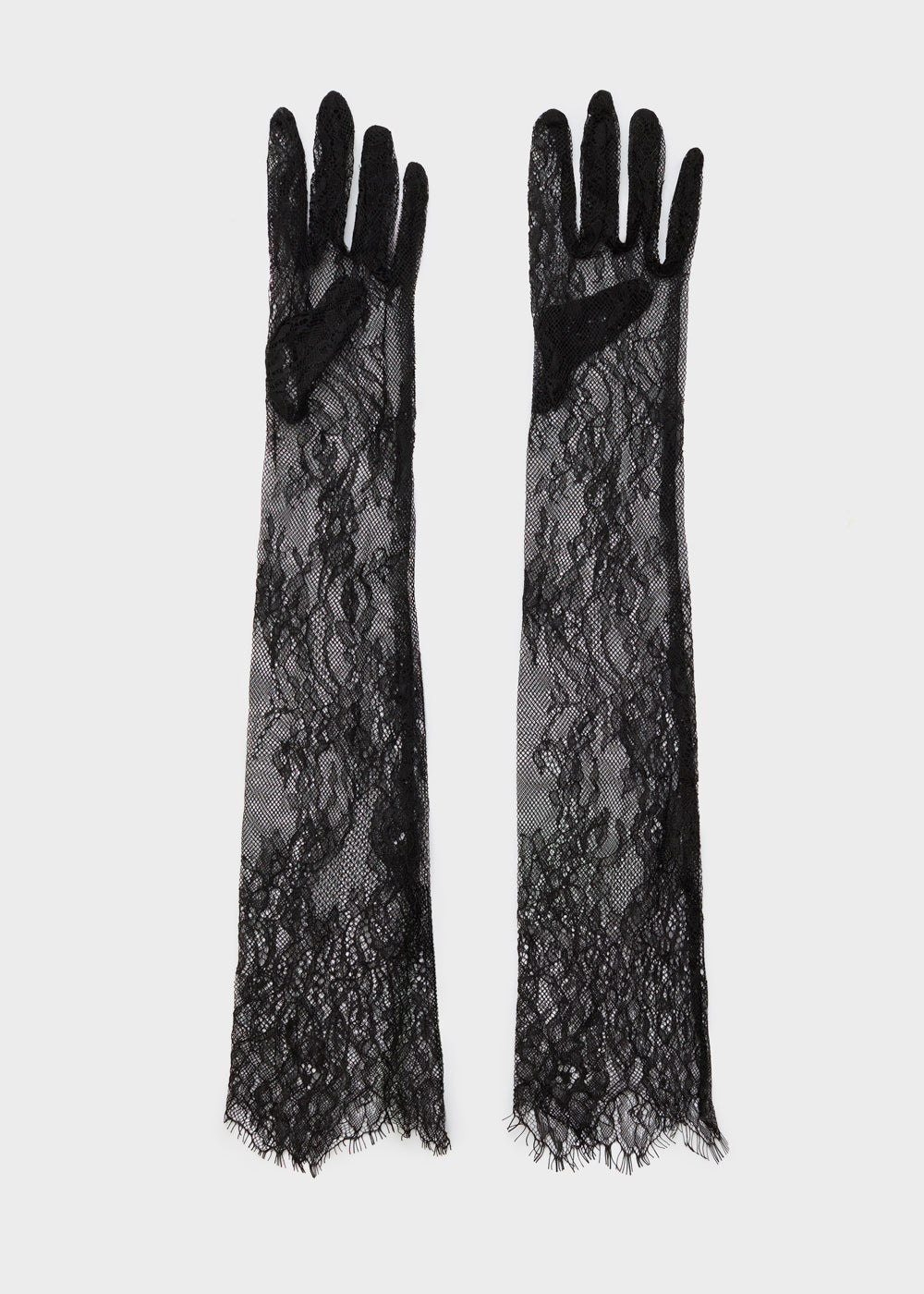 WUGU0001-1