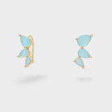 MEOR0739-1