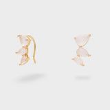 MEOR0738-2