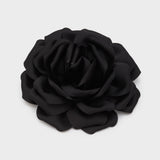 EMSL0097-1
