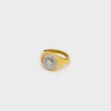 DWAN0276-2