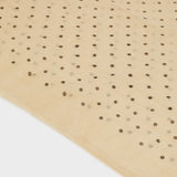 LASC0266-2