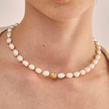 LNCL0029-1