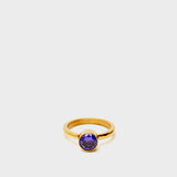 DWAN0179-1