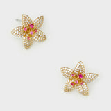 MEOR0546-2