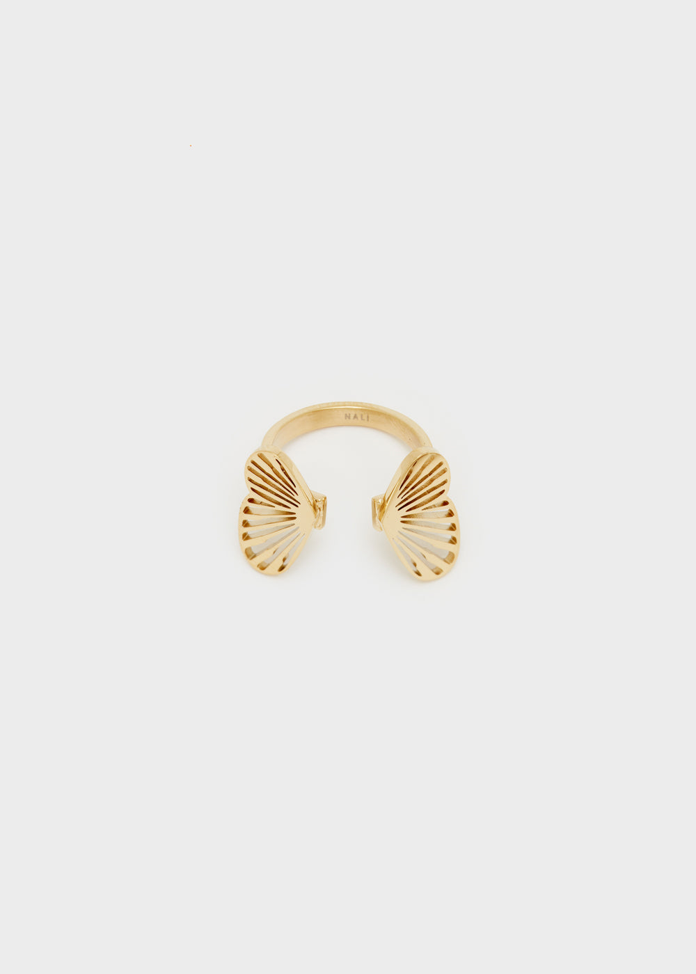 DWAN0206-1
