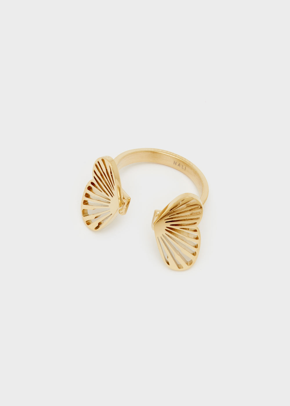 DWAN0206-2