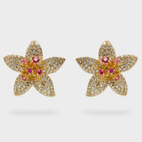 MEOR0546-3